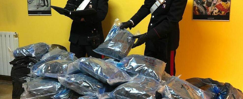 Sorpreso in casa con 120kg di marijuana