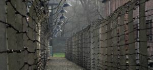 Primaria Caulonia, 5B: “Ogni bambino dovrebbe andare ad Auschwitz per conoscere la crudeltà dell’uomo” item-thumbnail