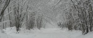 Cinque cauloniesi denunciati perché sono andati “a vedere la neve” nonostante le disposizioni anti contagio item-thumbnail