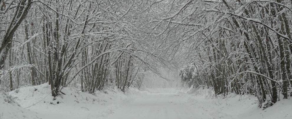 Maltempo: Prevista neve a bassa quota