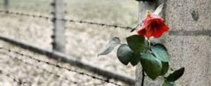 Giornata della memoria: le riflessioni degli alunni di 3^A della scuola di Gioiosa-Grotteria item-thumbnail