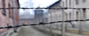 La lezione della memoria item-thumbnail