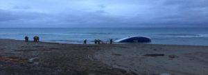 Re.Co.Sol. solidarizza con la comunità di Torre Melissa (KR) e il suo Sindaco per il salvataggio di 51 migranti curdi. item-thumbnail
