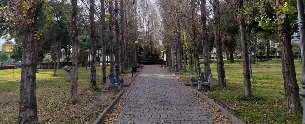 L’amministrazione di Caulonia: “Il taglio degli alberi alla villa Frammartino si è reso necessario per ragioni di sicurezza”