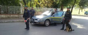 Sorpresi con oltre 5 kg di marijuana, due arresti a Reggio Calabria item-thumbnail