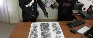 Cosparge strade di chiodi, denunciato item-thumbnail
