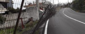 Pericolo sulla strada che dalla ss 106 porta a Focà item-thumbnail