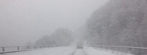 Intense nevicate e alberi caduti in Calabria: la Protezione Civile raccomanda prudenza item-thumbnail