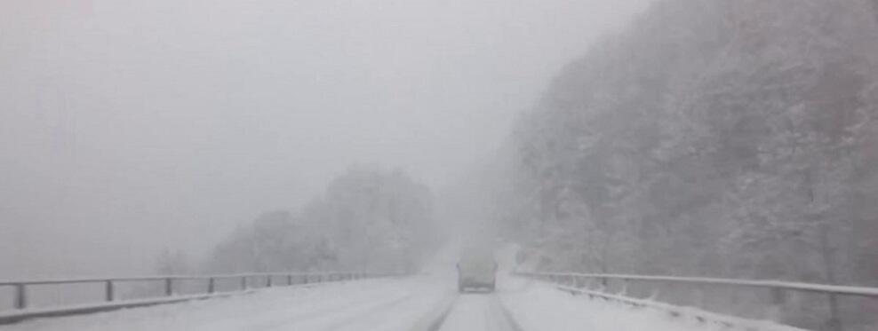 Intense nevicate e alberi caduti in Calabria: la Protezione Civile raccomanda prudenza