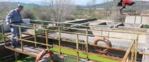 I carabinieri sequestrano due depuratori nel cosentino item-thumbnail