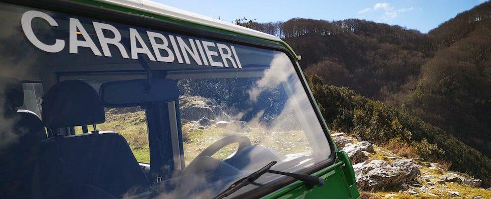 Controlli dei Carabinieri forestali nel Parco Nazionale d’Aspromonte: due denunce