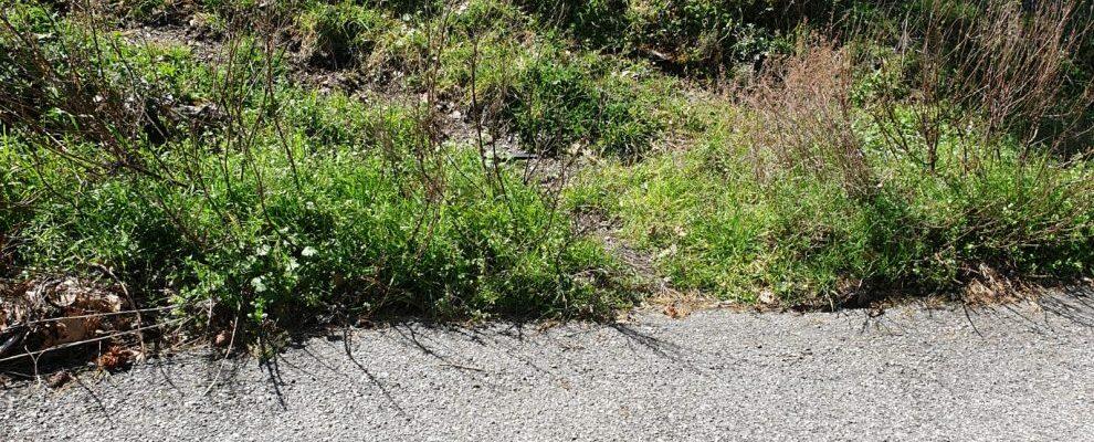 Segnalazione: “Qui nessuno è ancora passato per ripulire le strade di Campoli”