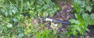 Nova scrive a Belcastro denunciando lo spreco di acqua pubblica item-thumbnail