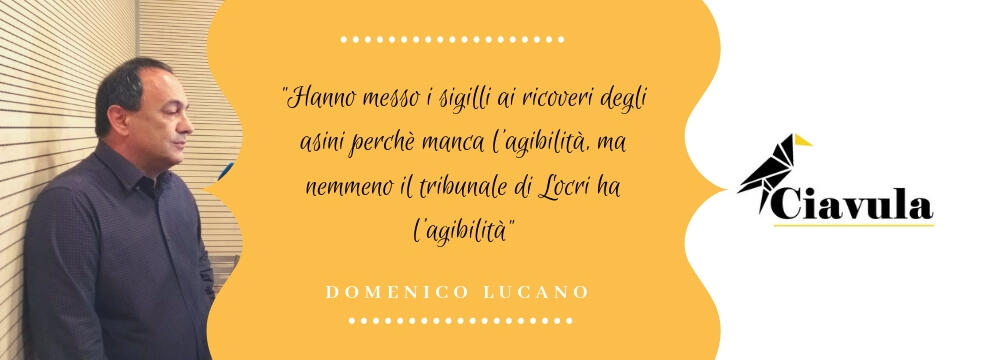 Domenico Lucano: “Contestano l’agibilità alle stalle degli asini di Riace, ma il tribunale di Locri ce l’ha?”