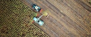 Dalla Regione Calabria 3 milioni di euro per cooperazione e ricerca in agricoltura item-thumbnail