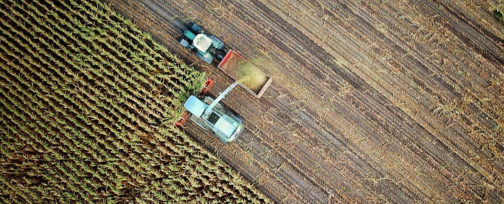 Agricoltura: nel mese di aprile erogati 20 milioni di euro