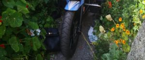 Rubano una borsa griffata, non ne capiscono il valore e la gettano in strada item-thumbnail