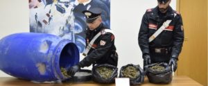 Nasconde tre kg di marijuana in un bidone, artigiano finisce ai domiciliari item-thumbnail