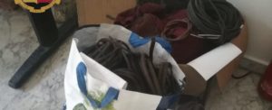 Recuperati 50kg di “oro rosso” sul lungomare di Reggio Calabria: è caccia al ladro item-thumbnail