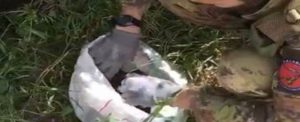 Locride, rinvenuta marijuana e arrestate due persone item-thumbnail