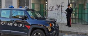 Uccide un gatto a bastonate davanti agli alunni di una scuola, denunciato un bidello item-thumbnail