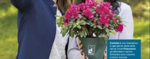 Per la festa della mamma a Camini e Riace l’Azalea della ricerca contro il cancro item-thumbnail