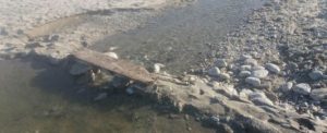 Lettrice scrive a Ciavula: “la spiaggia di Caulonia è una palude” item-thumbnail