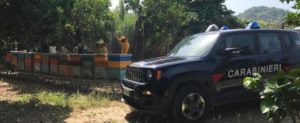 I Carabinieri forestali denunciano sei apicoltori item-thumbnail