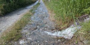 I danni prodotti dal Consorzio di bonifica a Caulonia (mentre i dirigenti pensano a fare campagna elettorale per la Lega) item-thumbnail