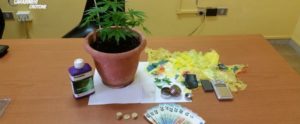 Coltivava marijuana in casa, denunciato un minorenne item-thumbnail