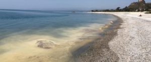 Colorazione gialla lungo la costa jonica, l’Arpacal spiega il perché item-thumbnail