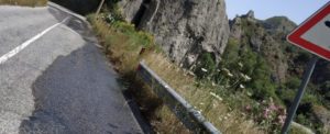 Segnalazione: “Da 5 giorni fuoriesce liquame fognario a Ursini di Caulonia” item-thumbnail