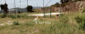 Lettore segnala lo stato di degrado di Ursini di Caulonia item-thumbnail