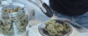 Controlli di carabinieri e polizia nei cannabis shop: sequestrati 40 kg di sostanze item-thumbnail