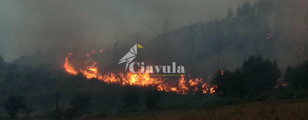 Un altro incendio a Caulonia, in località Mangione – video