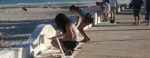 Il lungomare di Caulonia si ribella all’inquinamento marino. Belcastro: “La collaborazione è alla base della cittadinanza attiva” item-thumbnail
