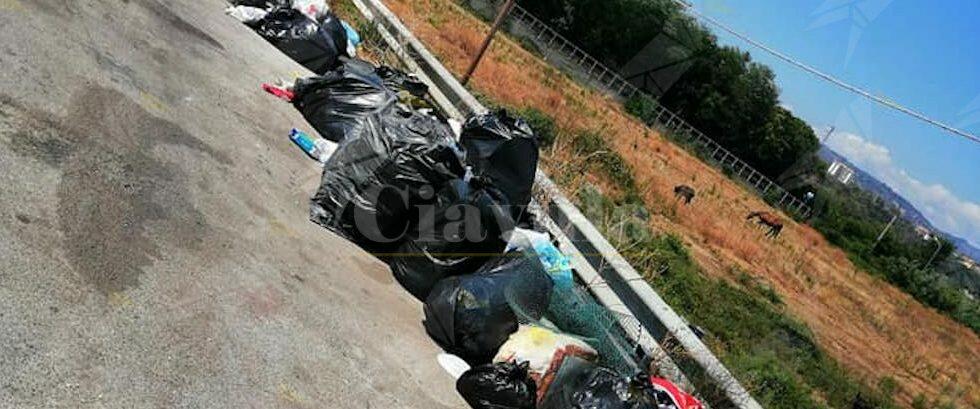 Caulonia, fogna e spazzatura a cielo aperto: la denuncia di Rocco Femia