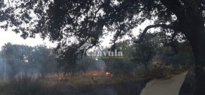 Incendio a Caulonia, ma la Protezione Civile non può intervenire perchè ha le casse vuote item-thumbnail