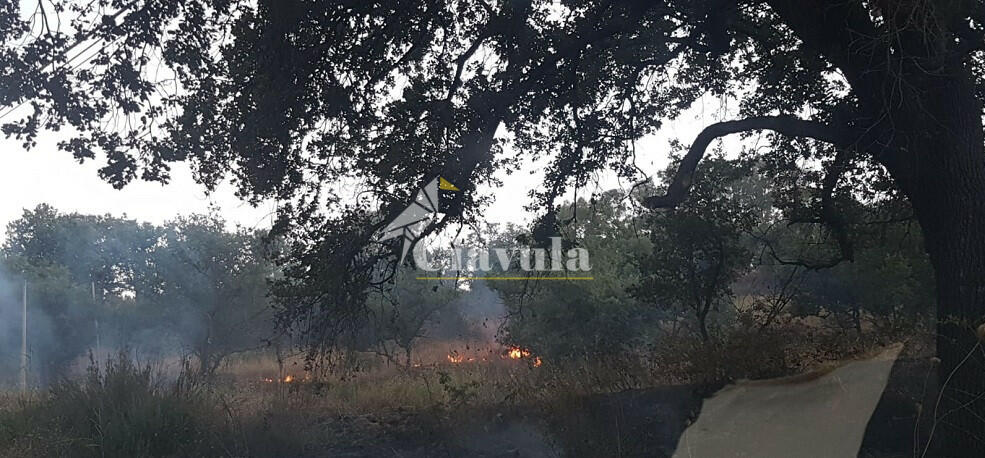 Incendio a Caulonia, ma la Protezione Civile non può intervenire perchè ha le casse vuote