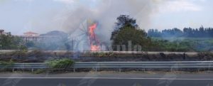 Il fuoco insidia il centro abitato di Caulonia marina item-thumbnail
