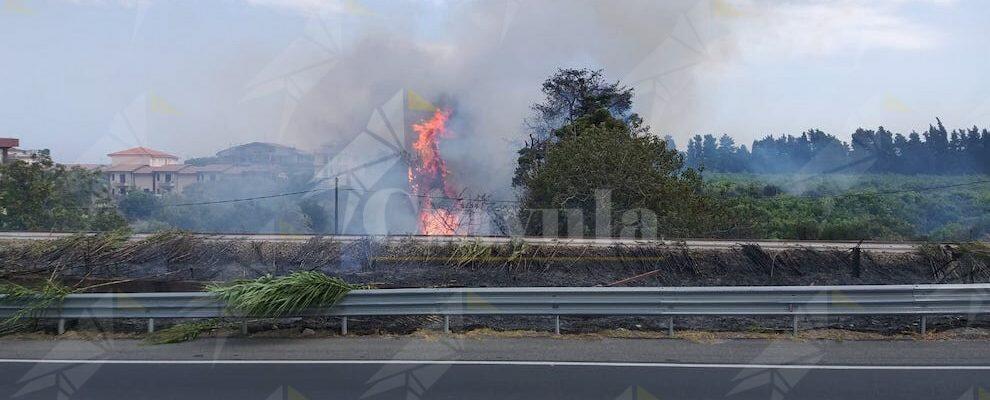 Il fuoco insidia il centro abitato di Caulonia marina