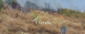 Caulonia, bruciano sterpaglie nei pressi di Canne item-thumbnail