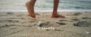item-thumbnail