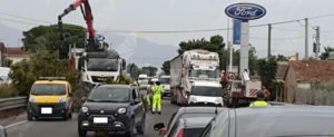 Fotonotizia: albero caduto sulla S.S. 106, traffico rallentato item-thumbnail