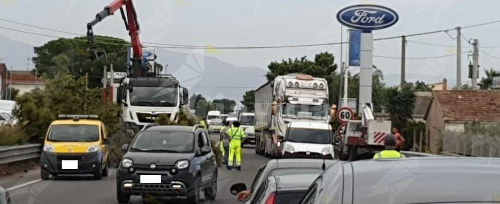 Fotonotizia: albero caduto sulla S.S. 106, traffico rallentato