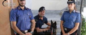 Grazie all’infallibile fiuto della cagnolina “Manco” i carabinieri scovano oltre 1kg di stupefacenti item-thumbnail