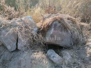 Archeologia Caulonia: scoperta anni fa ad Amusa una necropoli rimasta ignorata item-thumbnail