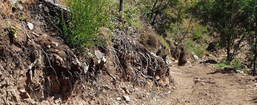 Crea una strada abusiva, allevatore multato