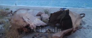 Foto del giorno: l’inciviltà che colpisce ingiustamente Caulonia item-thumbnail