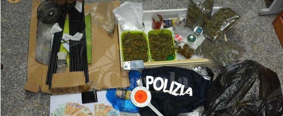 In casa ha marijuana, hashish e cocaina. Spacciatore finisce in manette